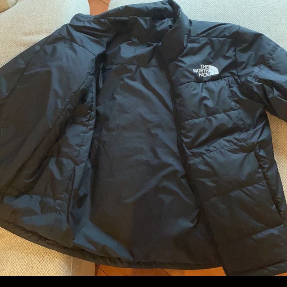 The north face jacket
